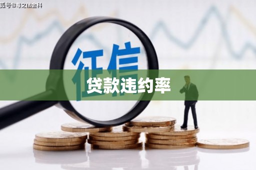 临海贷款违约率