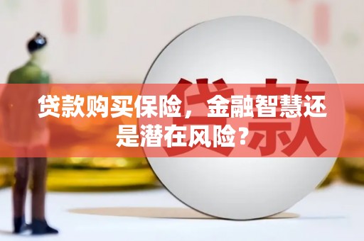 临海贷款购买保险，金融智慧还是潜在风险？