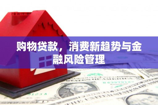 临海购物贷款，消费新趋势与金融风险管理
