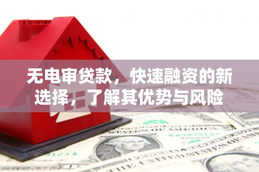 临海无电审贷款，快速融资的新选择，了解其优势与风险