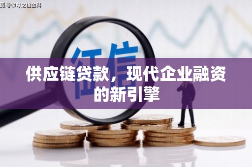 临海供应链贷款，现代企业融资的新引擎