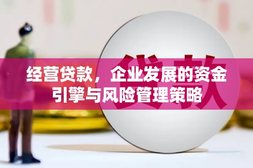 临海经营贷款，企业发展的资金引擎与风险管理策略