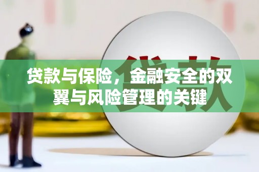 临海贷款与保险，金融安全的双翼与风险管理的关键