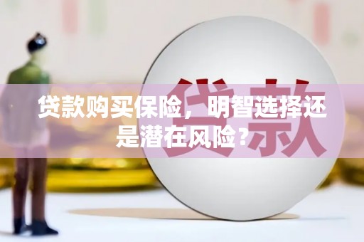 临海贷款购买保险，明智选择还是潜在风险？