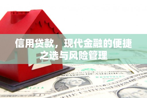 临海信用贷款，现代金融的便捷之选与风险管理