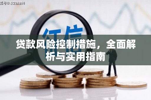 临海贷款风险控制措施，全面解析与实用指南