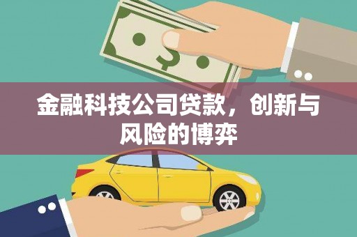 临海金融科技公司贷款，创新与风险的博弈