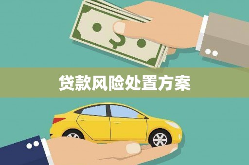 临海贷款风险处置方案