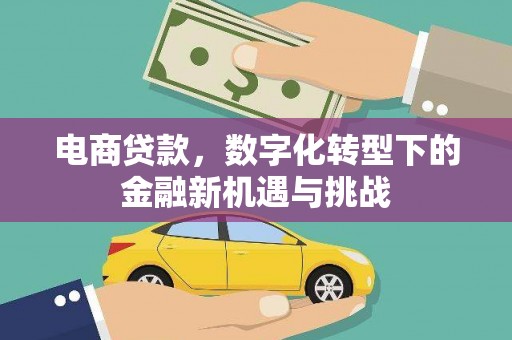 临海电商贷款，数字化转型下的金融新机遇与挑战