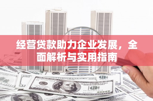 临海经营贷款助力企业发展，全面解析与实用指南