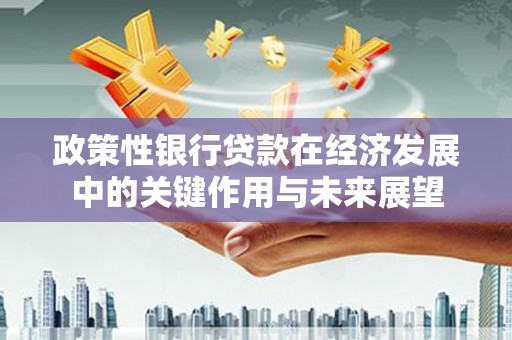 临海政策性银行贷款在经济发展中的关键作用与未来展望