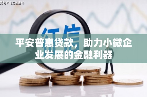 临海平安普惠贷款，助力小微企业发展的金融利器