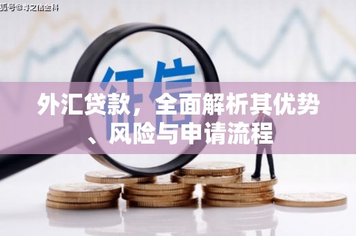 临海外汇贷款，全面解析其优势、风险与申请流程