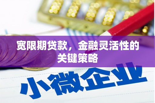 临海宽限期贷款，金融灵活性的关键策略