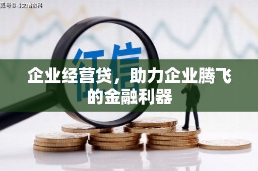临海企业经营贷，助力企业腾飞的金融利器
