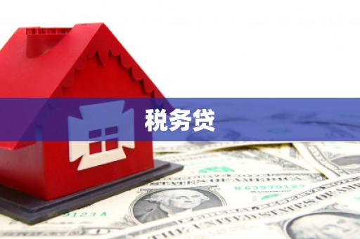 临海税务贷