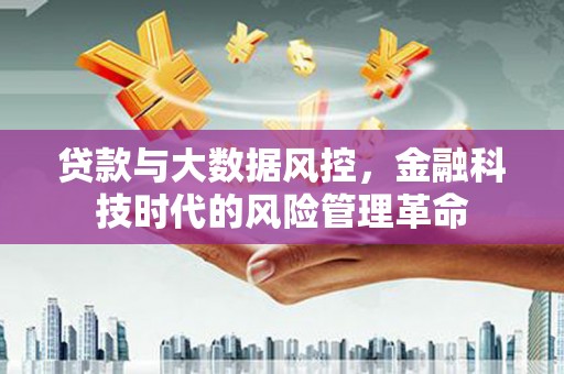 临海贷款与大数据风控，金融科技时代的风险管理革命