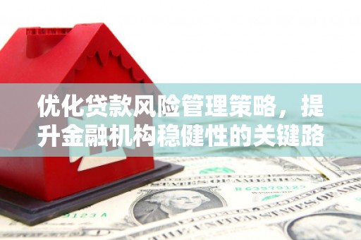 临海优化贷款风险管理策略，提升金融机构稳健性的关键路径
