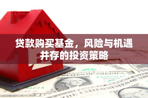 临海贷款购买基金，风险与机遇并存的投资策略