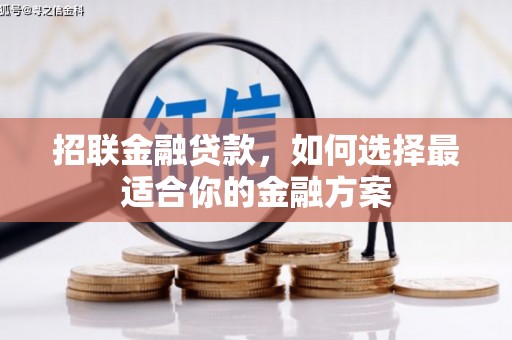 临海招联金融贷款，如何选择最适合你的金融方案