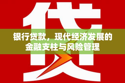 临海银行贷款，现代经济发展的金融支柱与风险管理