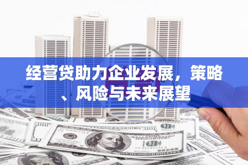 临海经营贷助力企业发展，策略、风险与未来展望