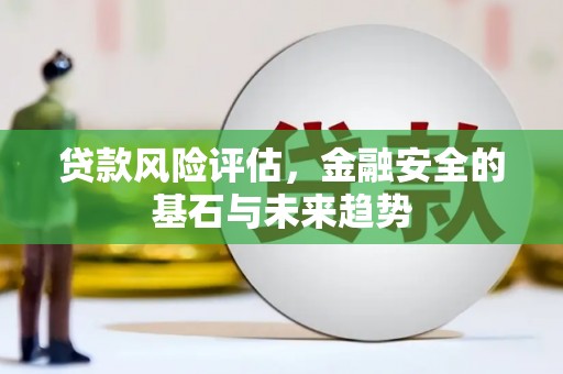 临海贷款风险评估，金融安全的基石与未来趋势