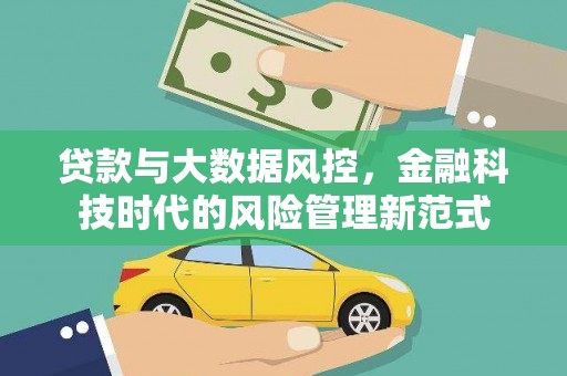 临海贷款与大数据风控，金融科技时代的风险管理新范式