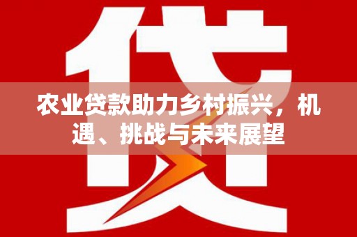 临海农业贷款助力乡村振兴，机遇、挑战与未来展望