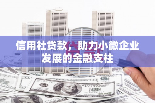 临海信用社贷款，助力小微企业发展的金融支柱
