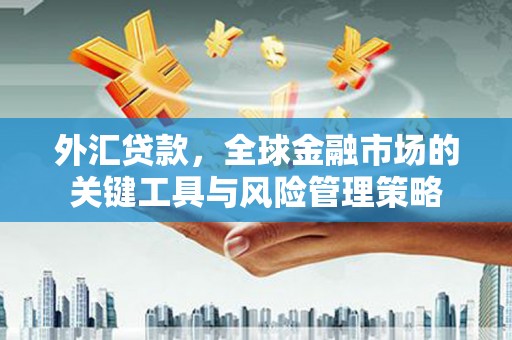 临海外汇贷款，全球金融市场的关键工具与风险管理策略