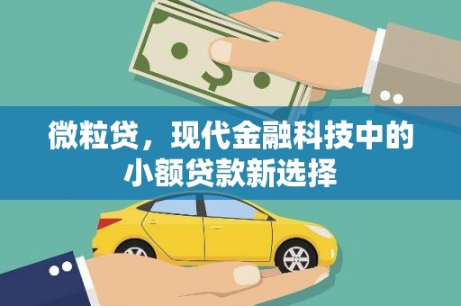 临海微粒贷，现代金融科技中的小额贷款新选择