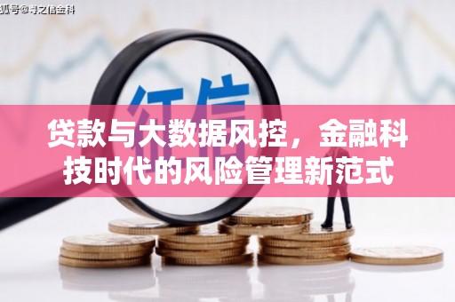 临海贷款与大数据风控，金融科技时代的风险管理新范式