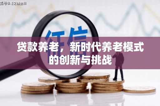 临海贷款养老，新时代养老模式的创新与挑战