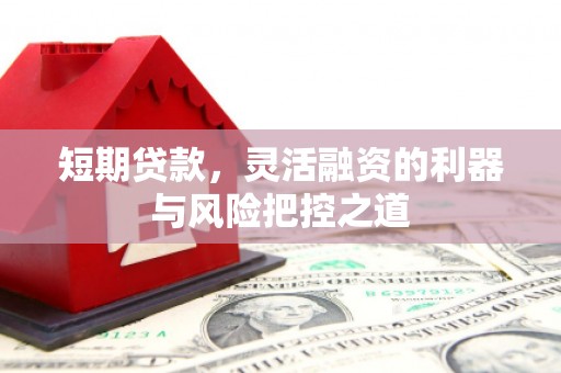 临海短期贷款，灵活融资的利器与风险把控之道