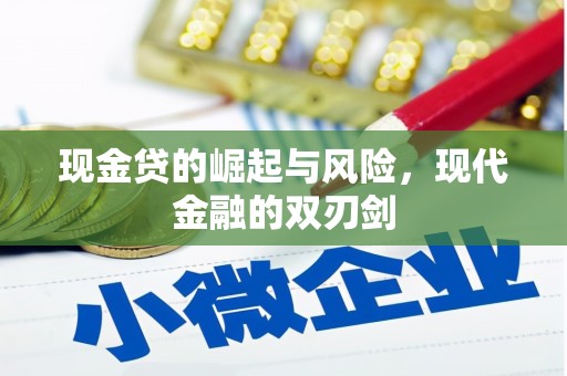 临海现金贷的崛起与风险，现代金融的双刃剑