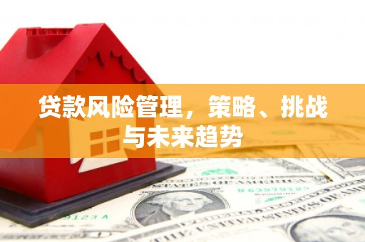 临海贷款风险管理，策略、挑战与未来趋势