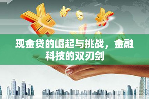 临海现金贷的崛起与挑战，金融科技的双刃剑