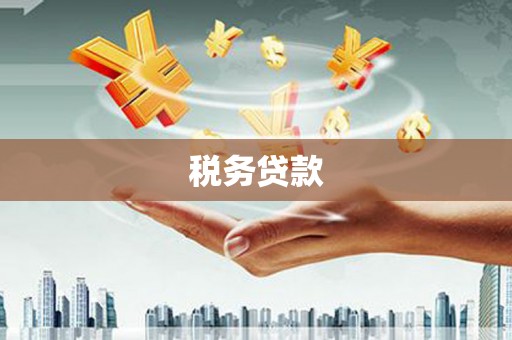 临海税务贷款