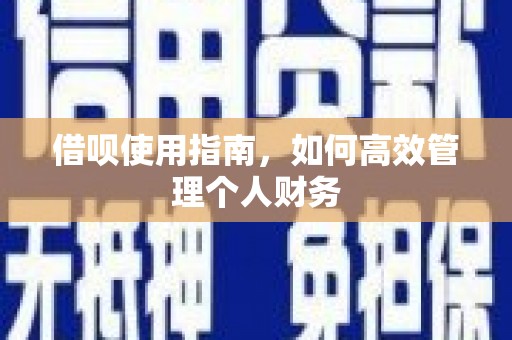 临海借呗使用指南，如何高效管理个人财务