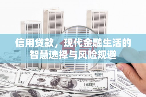 临海信用贷款，现代金融生活的智慧选择与风险规避