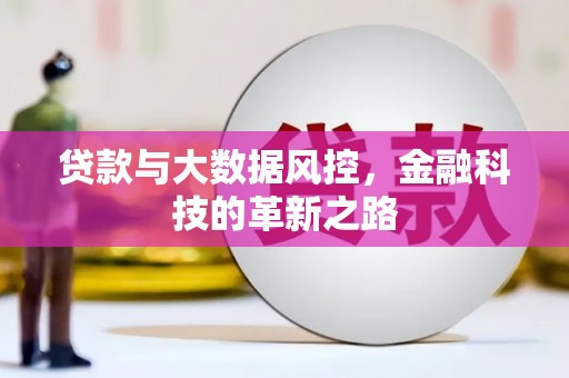临海贷款与大数据风控，金融科技的革新之路