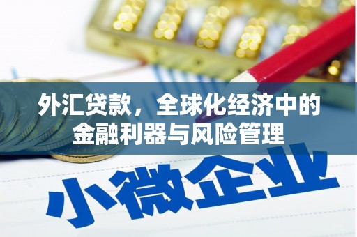 临海外汇贷款，全球化经济中的金融利器与风险管理