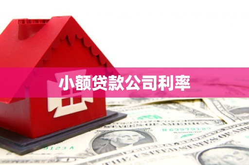 临海小额贷款公司利率