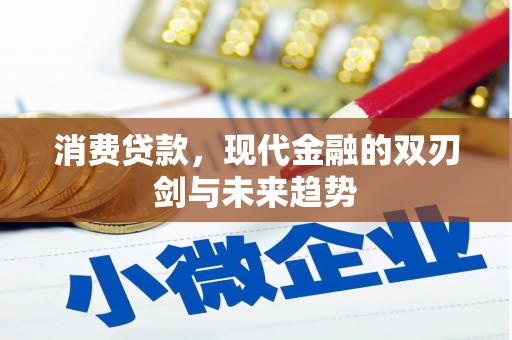 临海消费贷款，现代金融的双刃剑与未来趋势