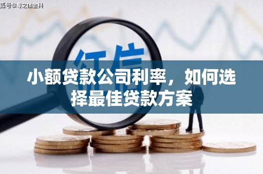 临海小额贷款公司利率，如何选择最佳贷款方案