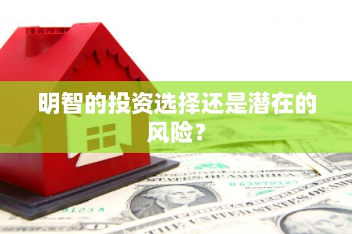 临海明智的投资选择还是潜在的风险？