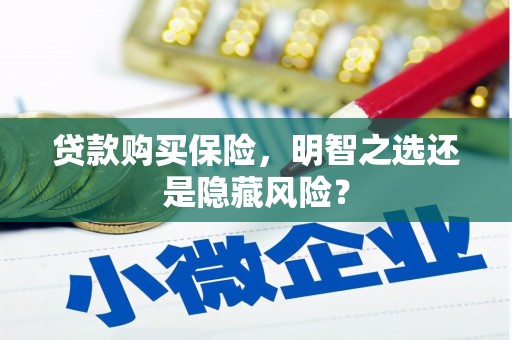临海贷款购买保险，明智之选还是隐藏风险？