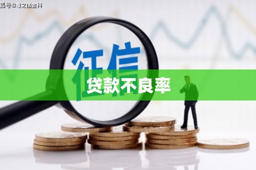 临海贷款不良率