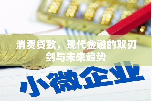 临海消费贷款，现代金融的双刃剑与未来趋势